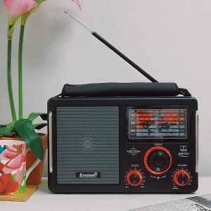 Steepletone MBR1051 Multiband Portable Radio World Receiver